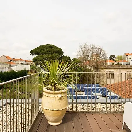 Boutique Rentals-primrose Terrace&garage Apartment *